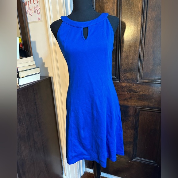 Royal Blue New York & Company Cut Out Cotton Sheath Dress - Picture 2 of 7